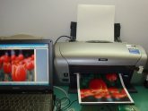 Fabric Transfers for inkjet printers