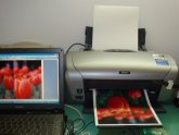 Fabric Transfers for inkjet printers